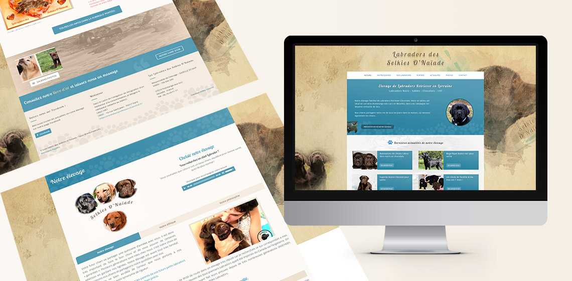 Création site internet élevage Labradors Selkies 0'Naïade en Moselle - Webo Zénith