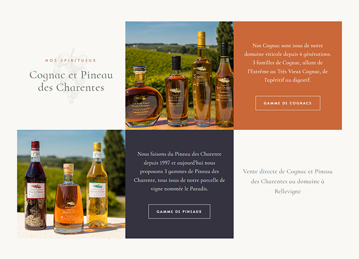 Site Cognac Bernard Gauthier - page interne